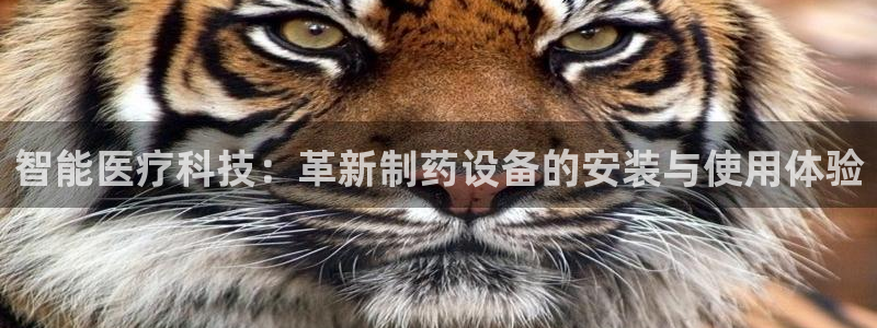 门徒娱乐注册官网