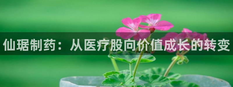娱乐门徒完结小说网