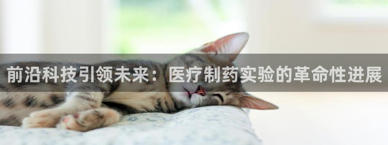 门徒娱乐 门徒平台