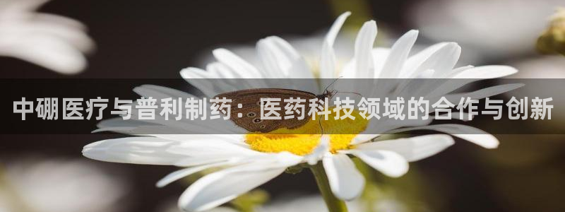 门徒娱乐网页版官网