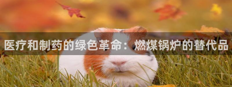 门徒娱乐跑路最新消息