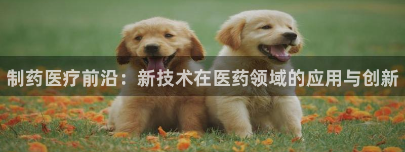 门徒六娱乐