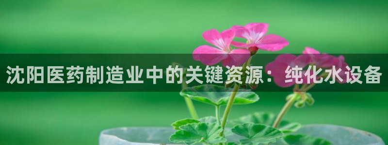 门徒娱乐网址