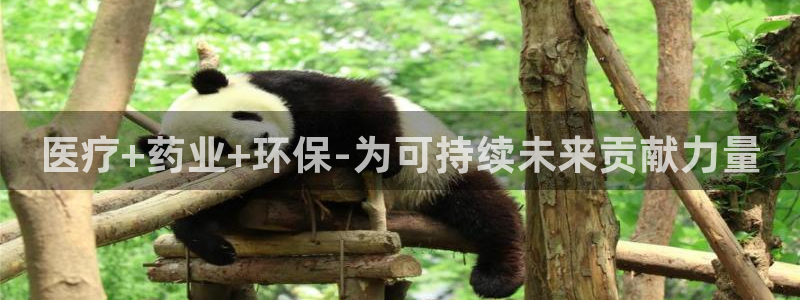 娱乐门徒娱乐世纪