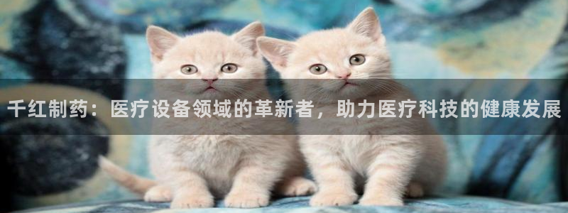 门徒娱乐线路图片高清