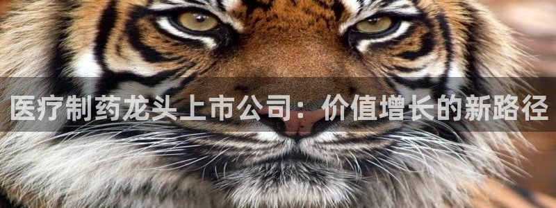 白云生娱乐门徒