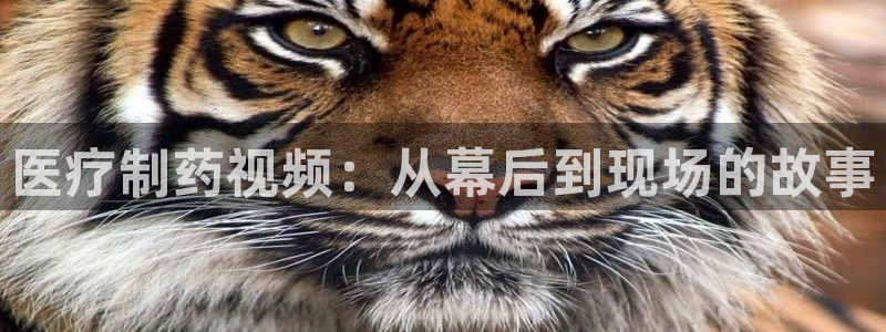 门徒娱乐加 主管39977l6