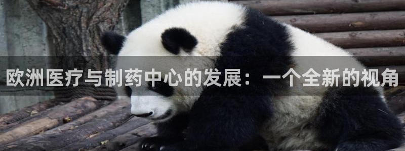 门徒娱乐是干啥的啊