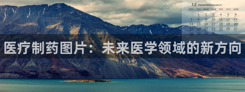 娱乐圈曼巴门徒