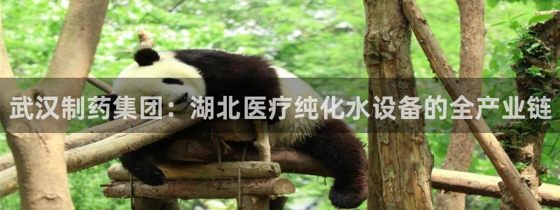 焦点娱乐门徒平台