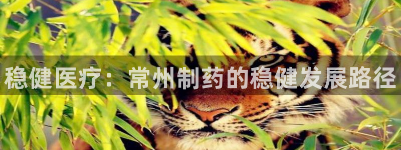 门徒娱乐有人被黑吗视频