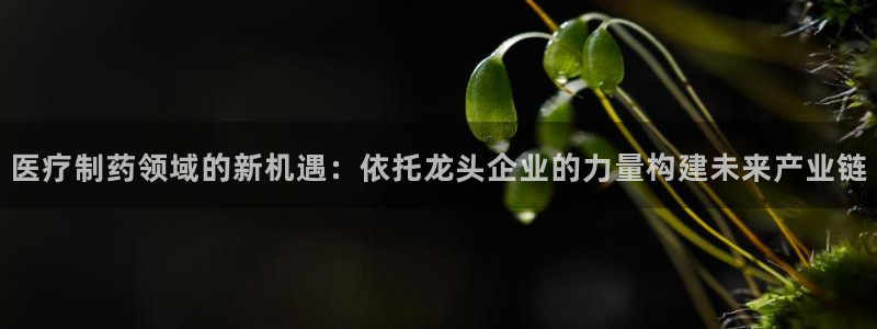 门徒娱乐平台介绍怎么写