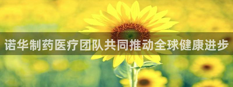 门徒娱乐什么平台可以看