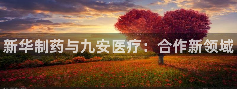 门徒娱乐盈利怎么样