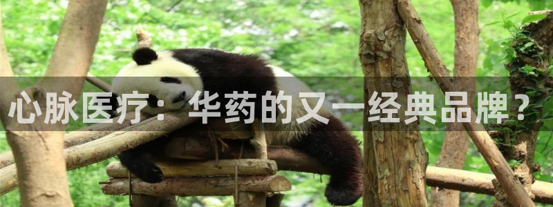 门徒娱乐注册官方微信