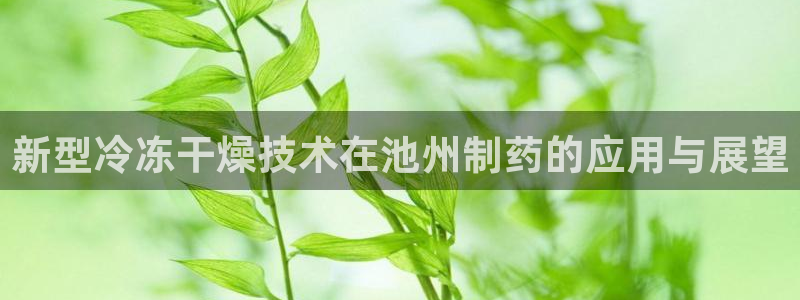 新功夫之王娱乐门徒小说