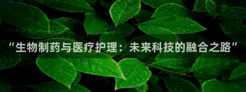 门徒娱乐登录平台