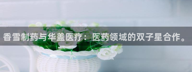 门徒娱乐官方地址上海