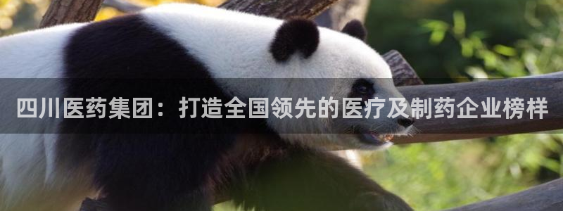 门徒娱乐老板是谁呀图片