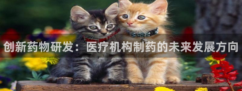 门徒娱乐来956k.com靠谱