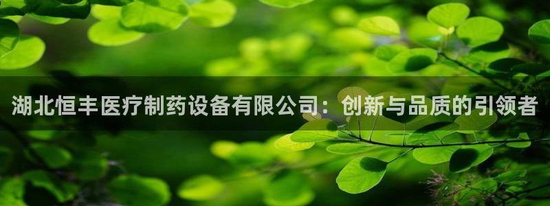 门徒娱乐网页版登录不上