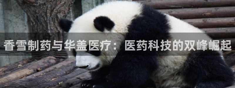 门徒娱乐账号注册教程