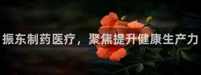 门徒娱乐注册官网