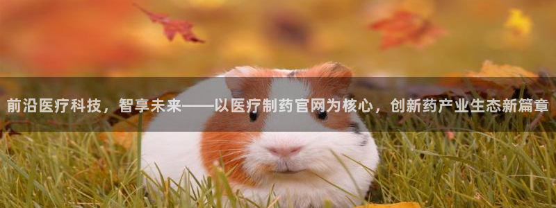 门徒娱乐在线登录网址