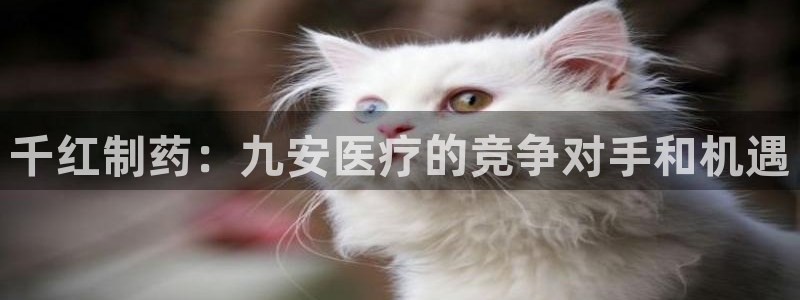 门徒娱乐注册地址查询