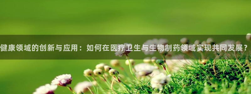 门徒娱乐挂机软件是什么