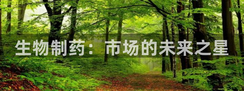 门徒娱乐平台登录官网