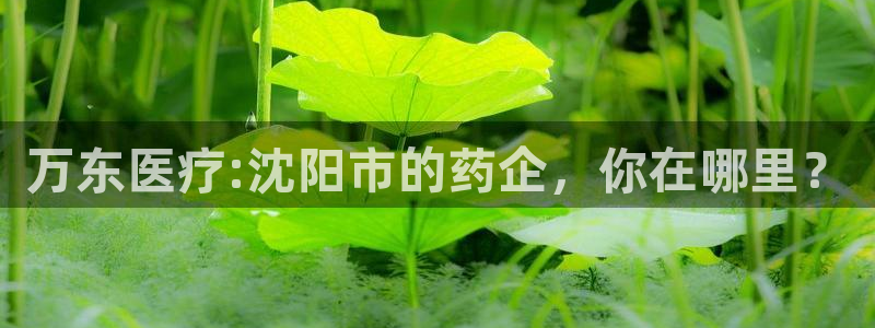 门徒娱乐账号注册教程