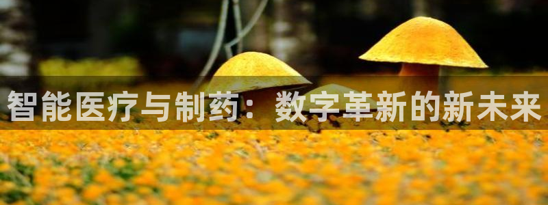 门徒娱乐项目介绍怎么写