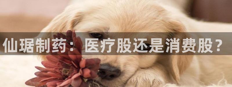 门徒娱乐跑路了吗知乎