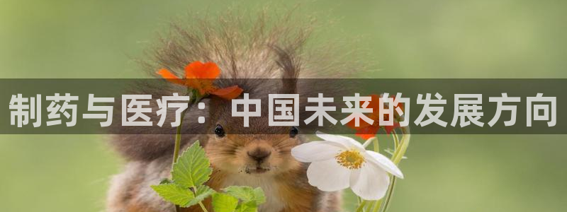 门徒娱乐注册地判官333OO